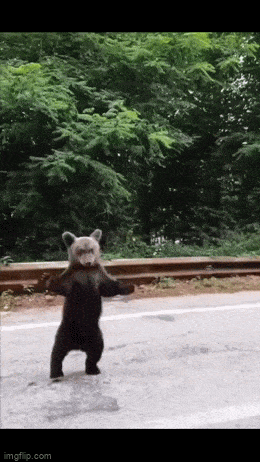 3DM����һ�̵�1614�� ��������һ�������ѱ氡��