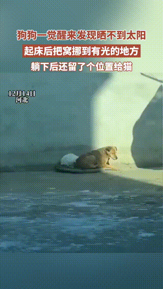 3DM����һ�̵�1614�� ��������һ�������ѱ氡��