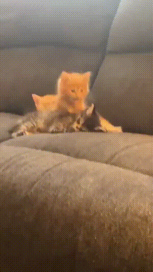 3DM����һ�̵�1614�� ��������һ�������ѱ氡��