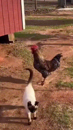 3DM����һ�̵�1614�� ��������һ�������ѱ氡��