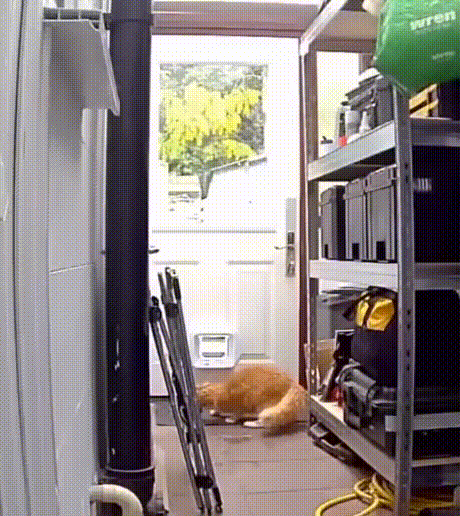 3DM����һ�̵�1614�� ��������һ�������ѱ氡��