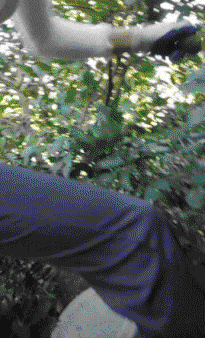 3DM����һ�̵�1615�� �������������Ƕ�ô�Ҹ���