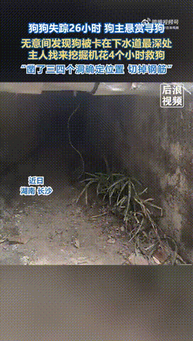 3DM����һ�̵�1614�� ��������һ�������ѱ氡��