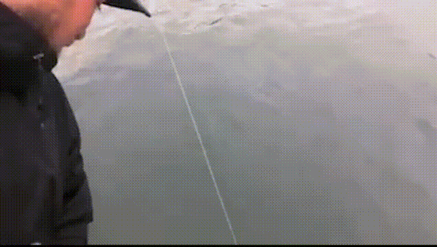 3DM����һ�̵�1615�� �������������Ƕ�ô�Ҹ���