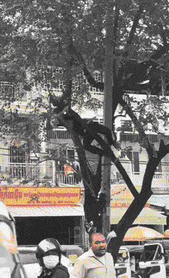 3DM����һ�̵�1615�� �������������Ƕ�ô�Ҹ���