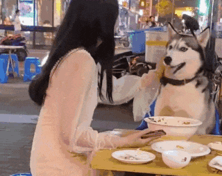 ��һ�ں���ͼ�Ʒ�ϵ�� �������۾۽�ս�������鴫