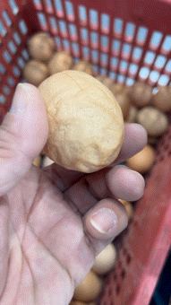 3DM����һ�̵�1615�� �������������Ƕ�ô�Ҹ���