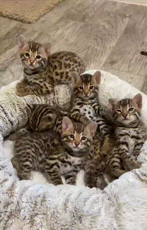 3DM����һ�̵�1617�� Ů������Ҫ������Ż�����