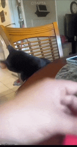 3DM����һ�̵�1617�� Ů������Ҫ������Ż�����