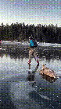 3DM����һ�̵�1617�� Ů������Ҫ������Ż�����