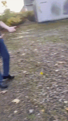 3DM����һ�̵�1616�� ��Ů��ӣ�ҳԵ�����������