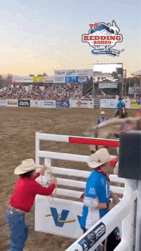 3DM����һ�̵�1616�� ��Ů��ӣ�ҳԵ�����������