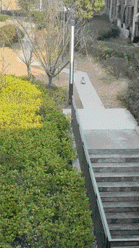 3DM輕松一刻第1619期 看得出美女使出了全身力氣