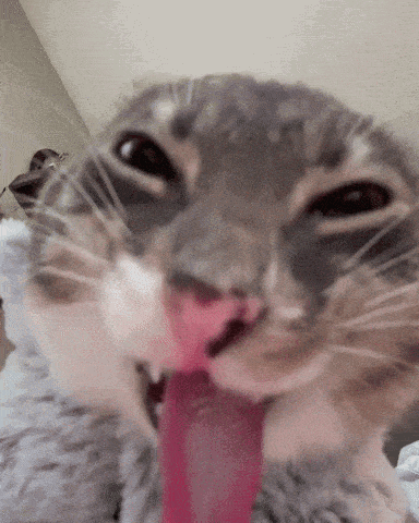 3DM����һ�̵�1618�� ������ǿ���Ա任��������