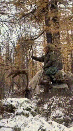 3DM����һ�̵�1618�� ������ǿ���Ա任��������