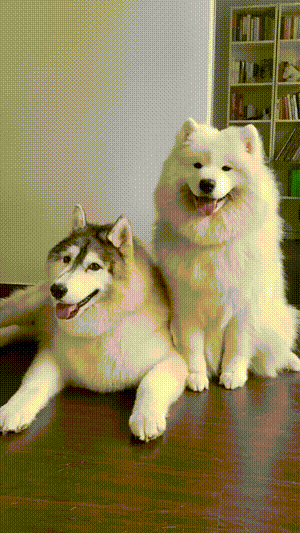 3DM輕松一刻第1619期 看得出美女使出了全身力氣