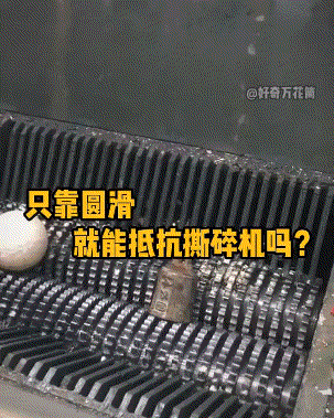 轻松一刻第1618期 柔韧性强可以变换更多姿势