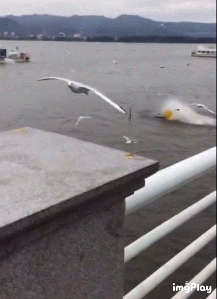 3DM輕松一刻第1619期 看得出美女使出了全身力氣