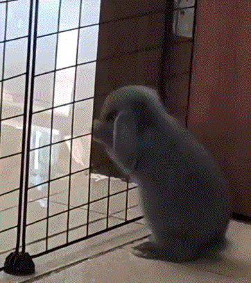 3DM����һ�̵�1618�� ������ǿ���Ա任��������