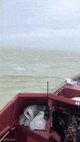 3DM輕松一刻第1619期 看得出美女使出了全身力氣