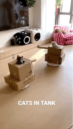 3DM����һ�̵�1621�� ���ȵ�С���˭��ϲ����