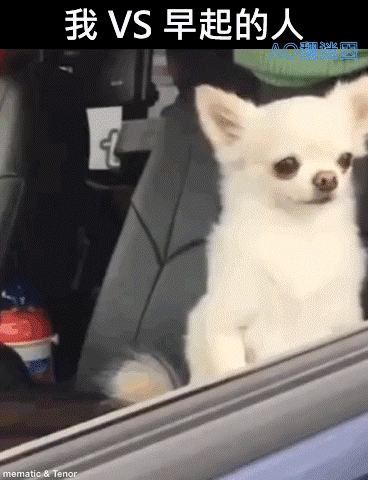 3DM����һ�̵�1622�� �������ʲô��Ϸ��ô�̼�