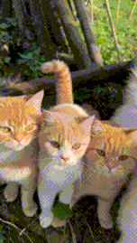 3DM����һ�̵�1622�� �������ʲô��Ϸ��ô�̼�