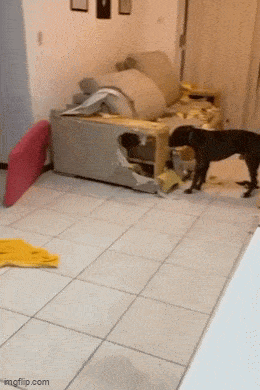 3DM����һ�̵�1621�� ���ȵ�С���˭��ϲ����