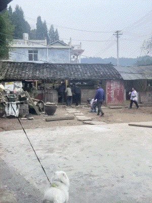 3DM����һ�̵�1622�� �������ʲô��Ϸ��ô�̼�