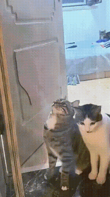 3DM����һ�̵�1624�� ��������ǰ�λ����Ƶģ�