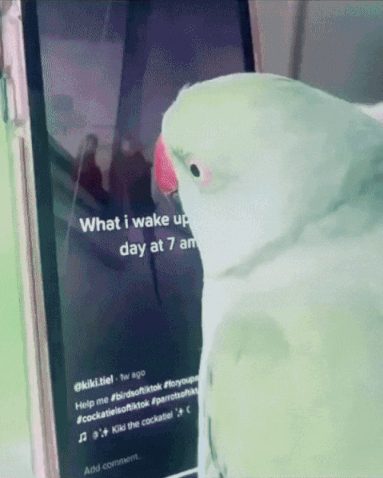 3DM����һ�̵�1623�� ��ŮΪ����Cos��ɫ̫ƴ��