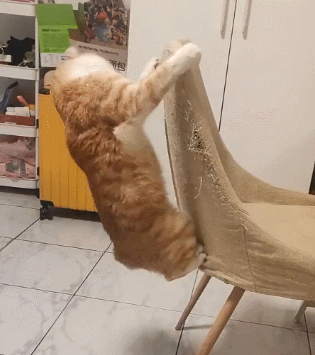 3DM����һ�̵�1623�� ��ŮΪ����Cos��ɫ̫ƴ��