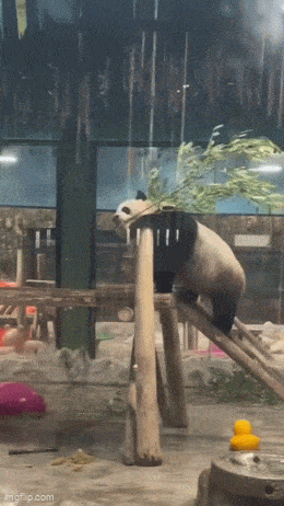 3DM����һ�̵�1629�� ��λ��������ʵ��̫רҵ��