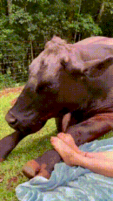 3DM����һ�̵�1629�� ��λ��������ʵ��̫רҵ��