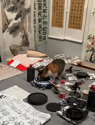 3DM����һ�̵�1623�� ��ŮΪ����Cos��ɫ̫ƴ��