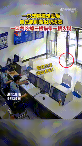 3DM����һ�̵�1623�� ��ŮΪ����Cos��ɫ̫ƴ��