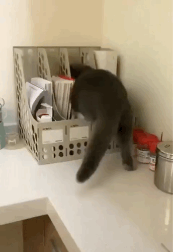 3DM����һ�̵�1627�� KTV��VIP�����Ȼ�����鴫