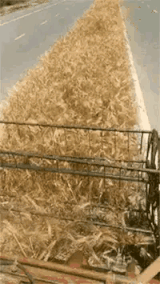 3DM����һ�̵�1627�� KTV��VIP�����Ȼ�����鴫