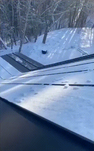 3DM����һ�̵�1627�� KTV��VIP�����Ȼ�����鴫