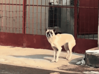 3DM����һ�̵�1627�� KTV��VIP�����Ȼ�����鴫