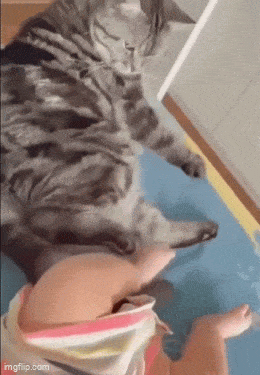 3DM����һ�̵�1626�� ���ӵ�������ʲô��������