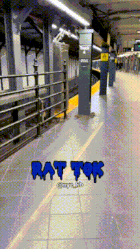 3DM����һ�̵�1627�� KTV��VIP�����Ȼ�����鴫