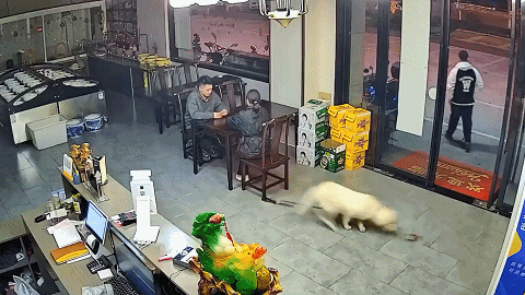 3DM����һ�̵�1627�� KTV��VIP�����Ȼ�����鴫