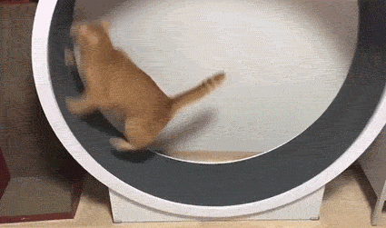 3DM����һ�̵�1626�� ���ӵ�������ʲô��������