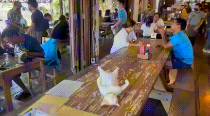 3DM����һ�̵�1627�� KTV��VIP�����Ȼ�����鴫