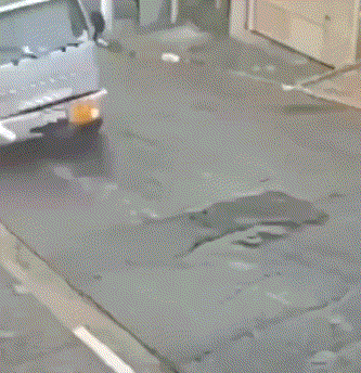 3DM����һ�̵�1629�� ��λ��������ʵ��̫רҵ��