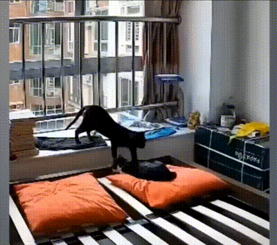 3DM����һ�̵�1628�� ��˾����Ů��ֵ��һȥ��