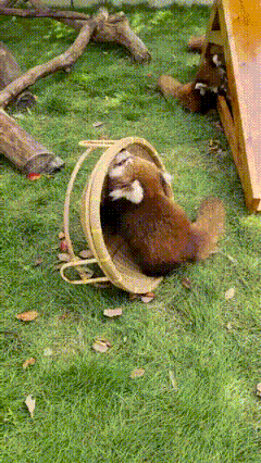 3DM����һ�̵�1630�� ���Ǻ�˿��Ů�ǿ������