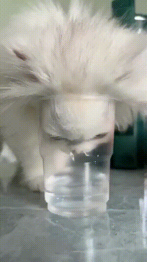 3DM����һ�̵�1629�� ��λ��������ʵ��̫רҵ��