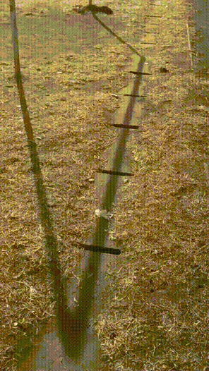 3DM����һ�̵�1628�� ��˾����Ů��ֵ��һȥ��